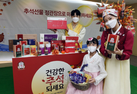 <사진제공=정관장>